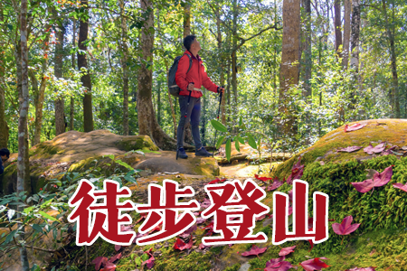 徒步登山